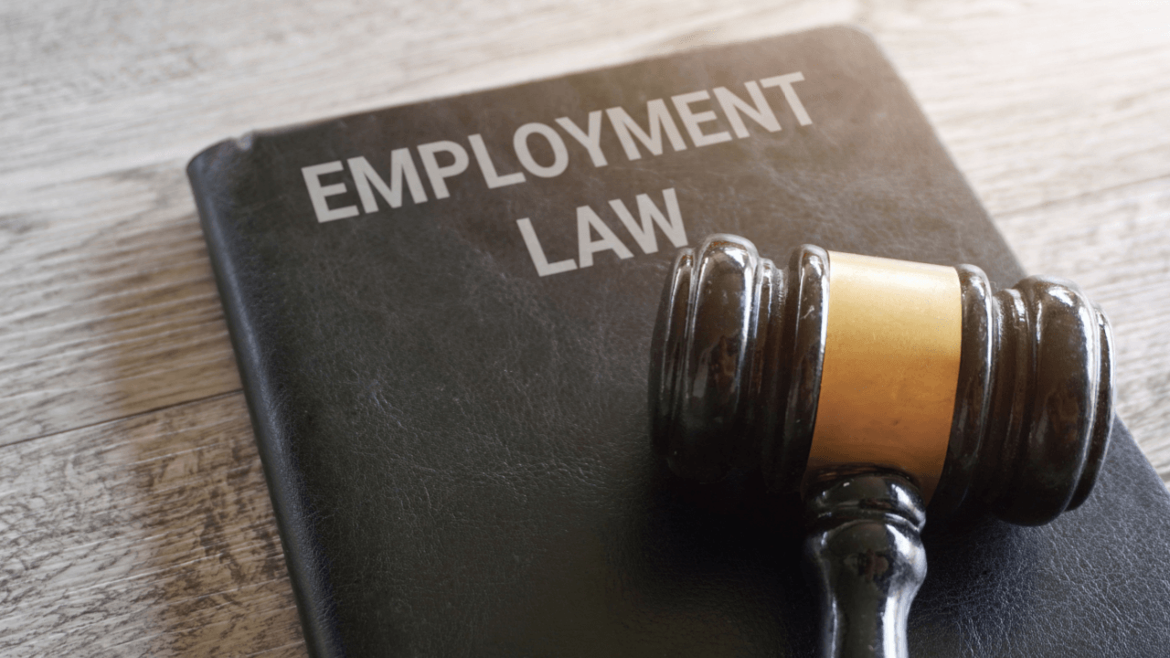Employment law book and judge's gavel representing employee rights after termination